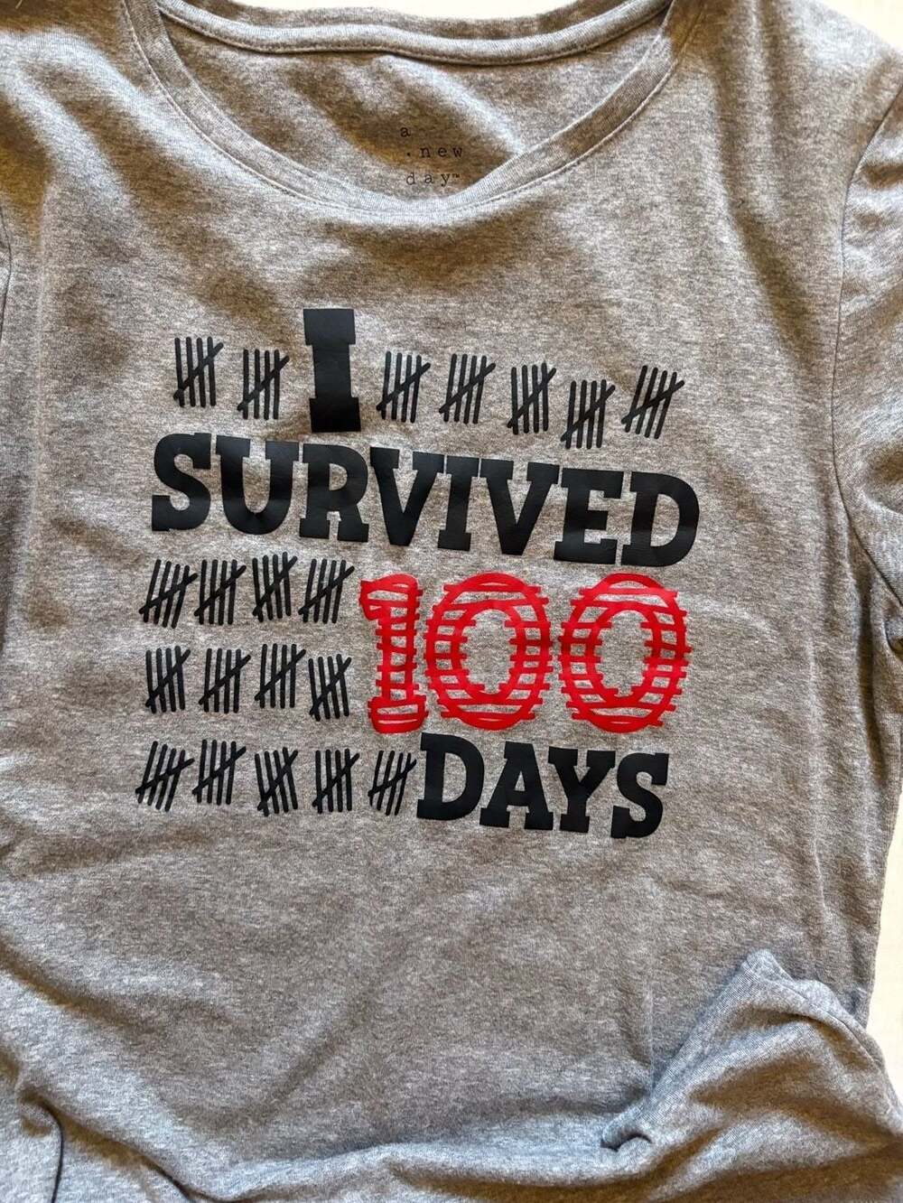 A New Day Gray I Survived 100 Days T-Shirt Medium